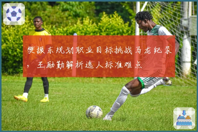 樊振东规划职业目标挑战马龙纪录，王励勤解析选人标准难点