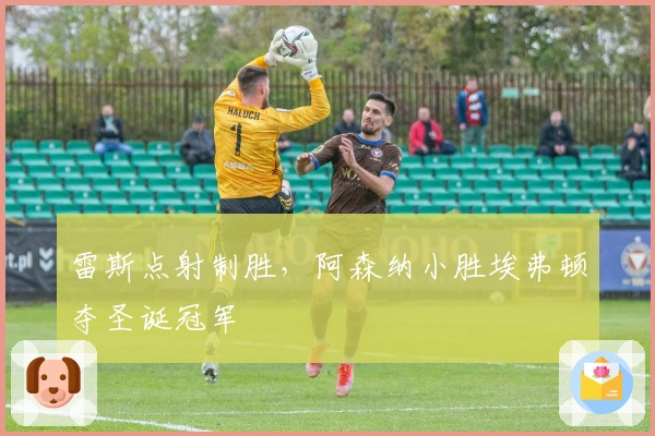 雷斯点射制胜，阿森纳小胜埃弗顿夺圣诞冠军